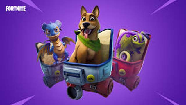 Fortnite Season 6 pets